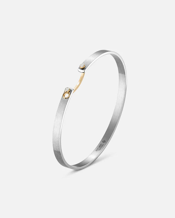 Paris From The Sky Mood Bangle in Titanium and Yellow Gold