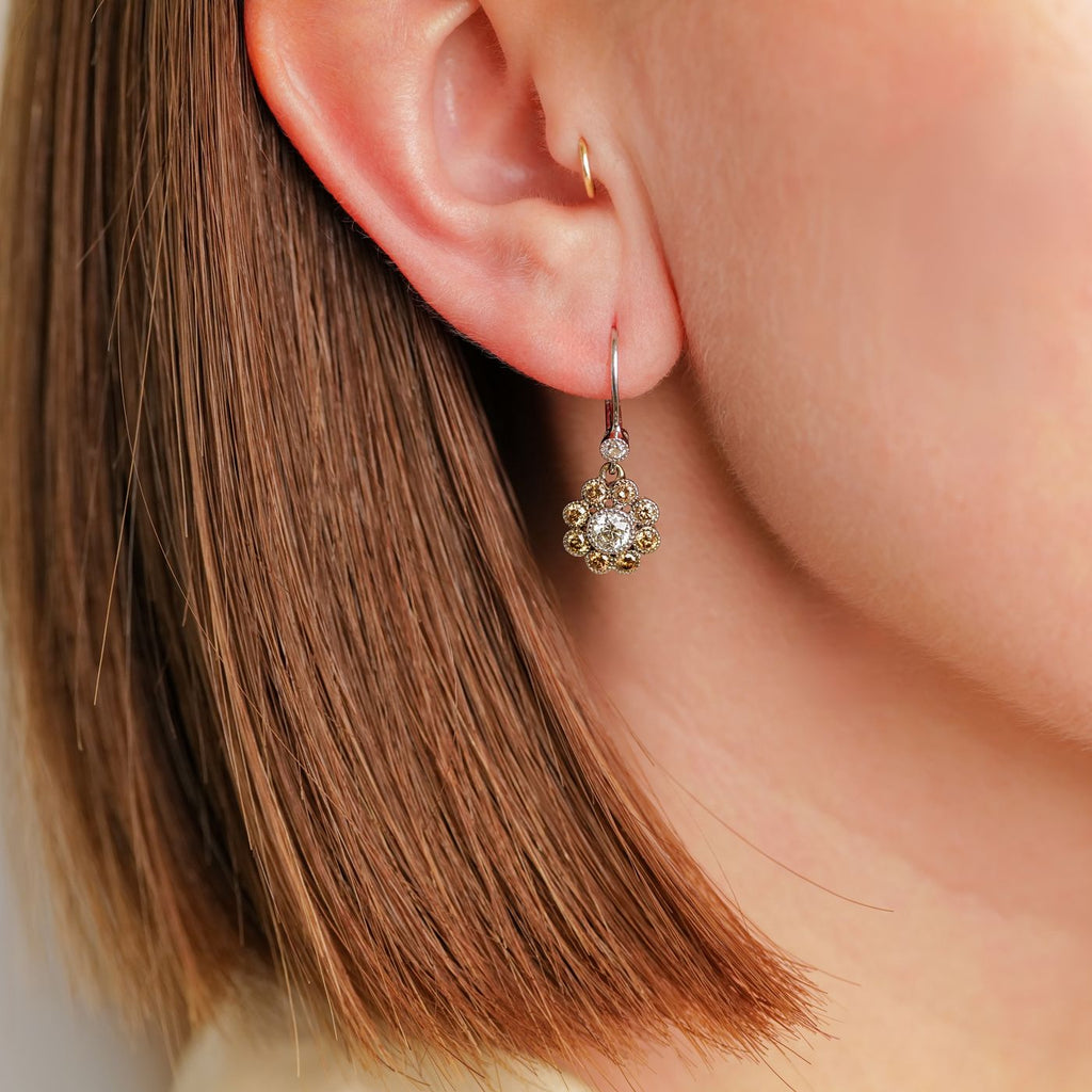 Rosetta Champagne Diamond Drop Earrings
