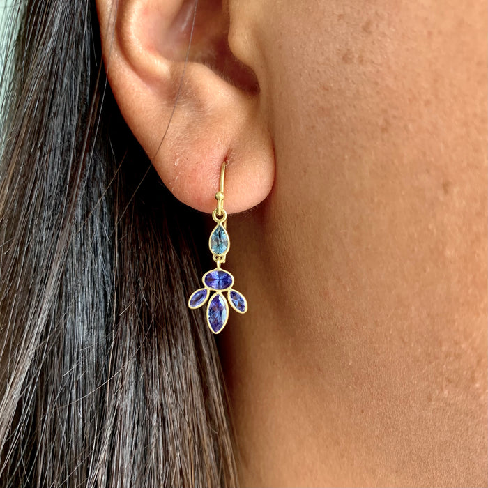 Echinacea Aquamarine and Tanzanite Drop Earrings in Yellow Gold